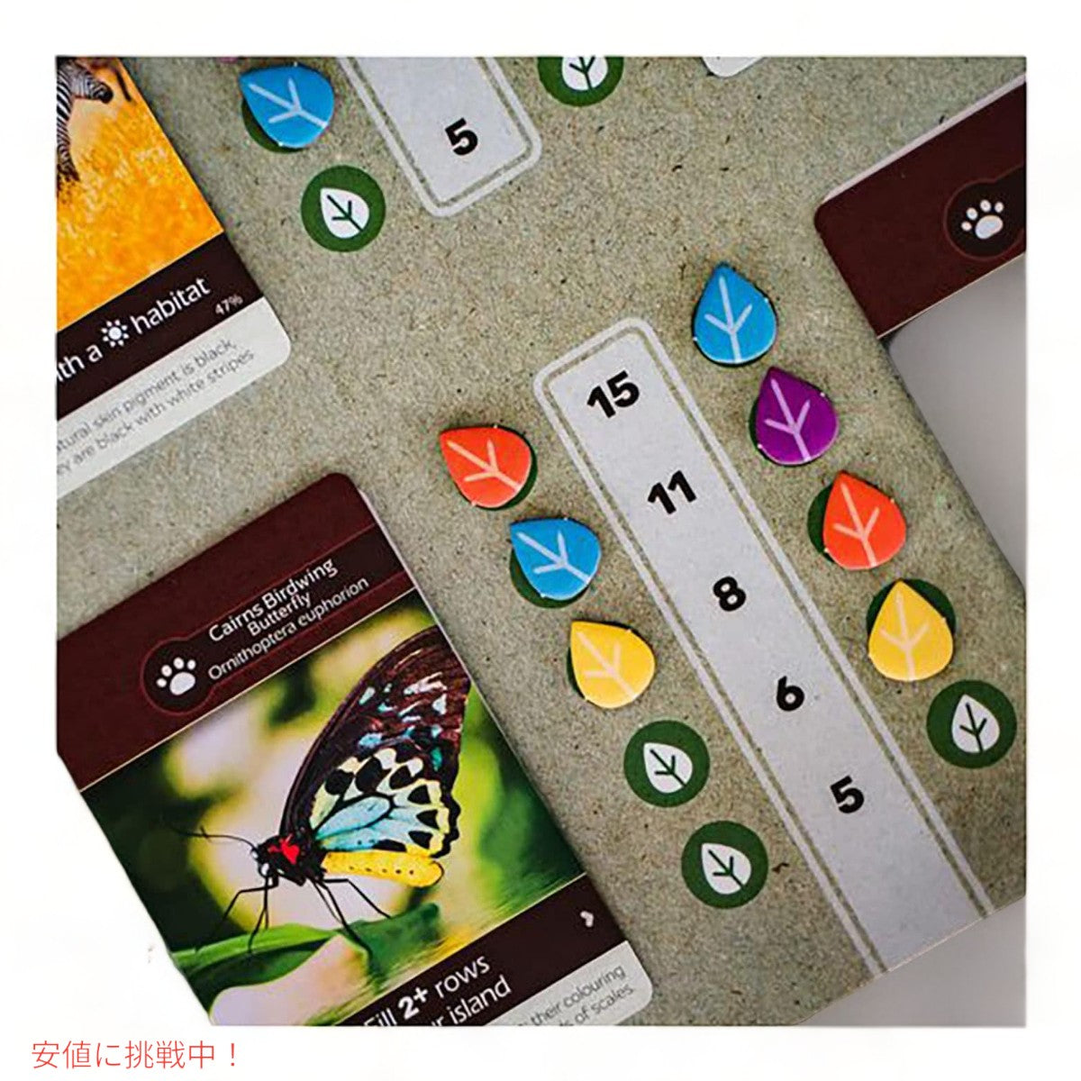 アース ザ ボードゲーム by インサイド アップ ゲームズ & マキシム タルディフ Earth The Board Game by Inside Up Games & Maxime Tardif 6