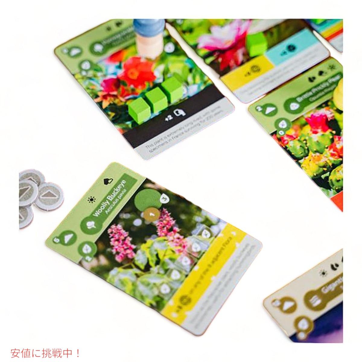 アース ザ ボードゲーム by インサイド アップ ゲームズ & マキシム タルディフ Earth The Board Game by Inside Up Games & Maxime Tardif 7