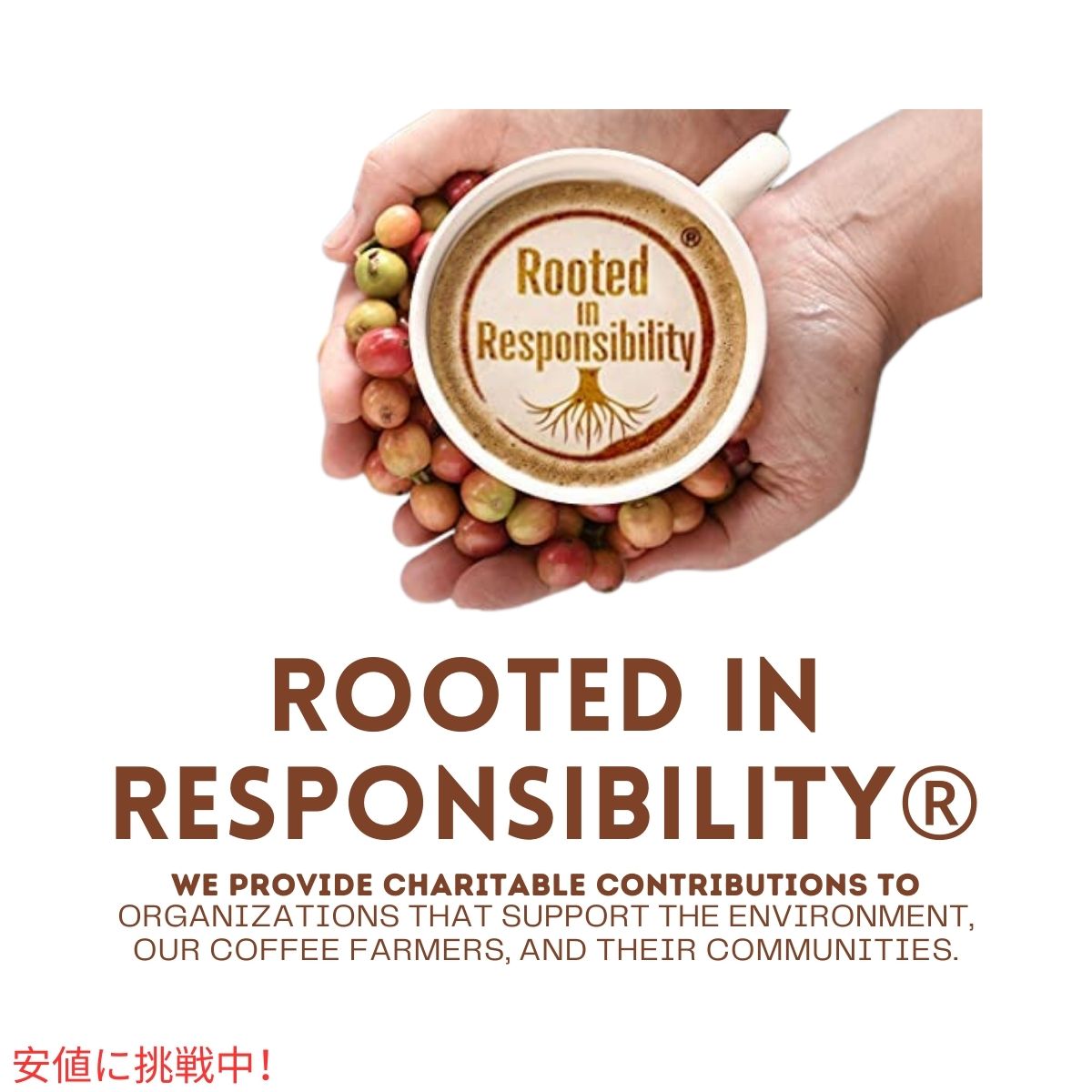 エイトオクロック Eight O'Clock 100% コロンビアン ピークス ホールビーン コーヒー豆 ミディアムロースト 1.07kg / 38 oz Medium Roast Whole Bean Coffee 6
