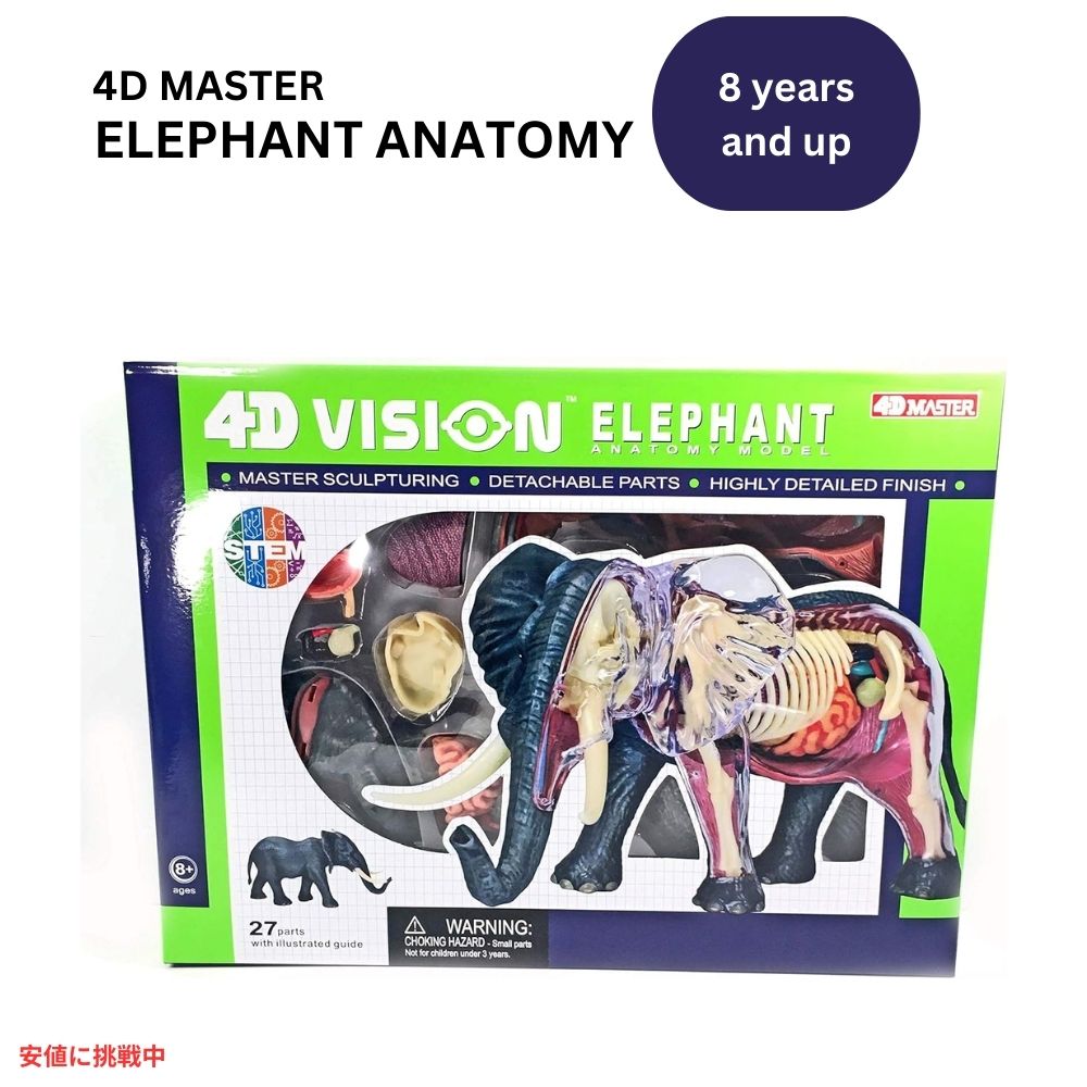 4Dビジョン ゾウ解剖模型 4D Vision Elephant Anatomy Model 1