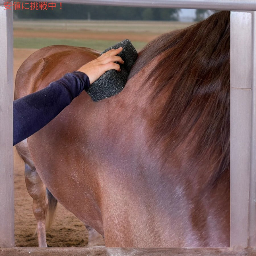 Epona エポナ Tiger's Tounge 馬用 グルーマー スクラバー ペットケア グルーミング Horse Groomer Scrubber 7