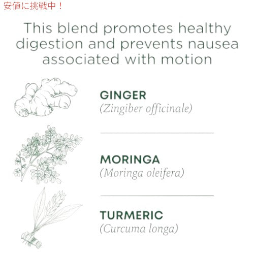 Traditional Medicinals Ginger Aid Tea|トラディショナルメディシナル オーガニック ジンジャーエイドティー ティーバッグ 16包 32g 2