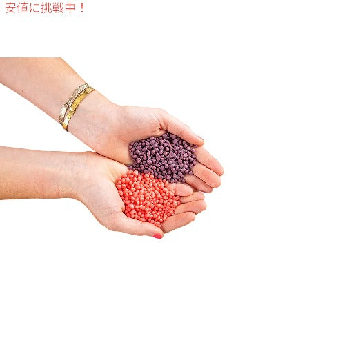 Nerds Grape & Strawberry Candy, 1.65 Ounce Package, 24 Count / ナーズ キャンディー [グレープ＆ストロベリー]  24箱入り 5