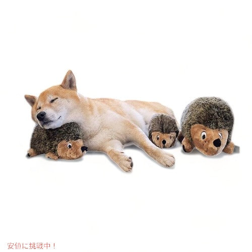 アウトワードハウンド ヘッジホッグズプラッシュドッグトイ、ミディアム 5