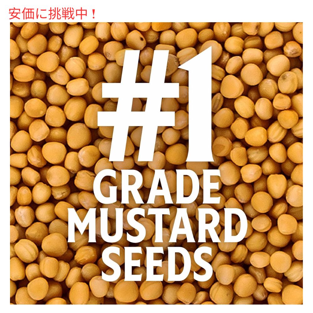Heinz Yellow Mustard ヘインズ イエローマスタード 使い切りサイズ200個入り 7