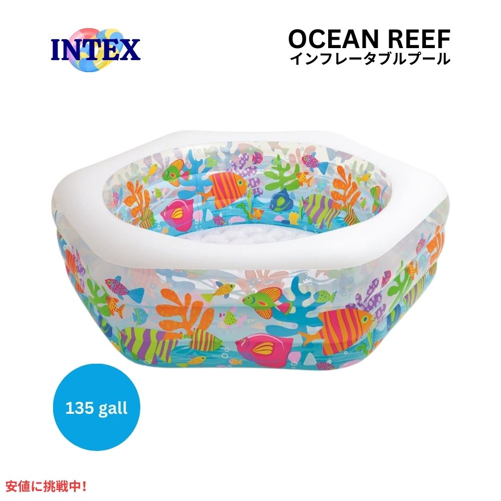 INTEX インテックス プール スイムセンター オーシャンリーフ Pool Swim Center Ocean Reef 1
