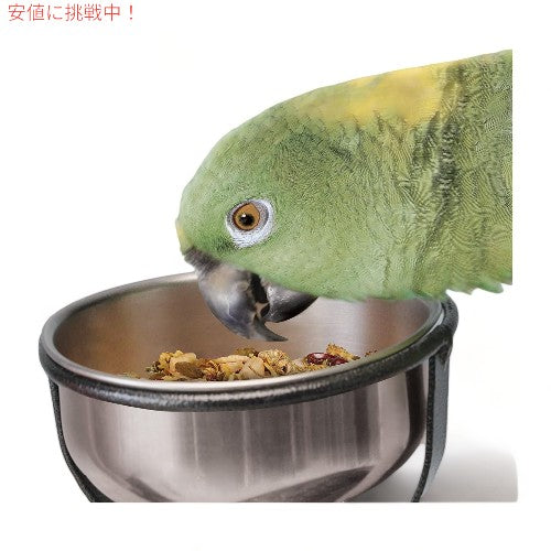 Kaytee ケイティー フード・フロム・ザ・ワイルド Food From The Wild ナチュラル ペット バード スナック フード おやつ 3 oz 3