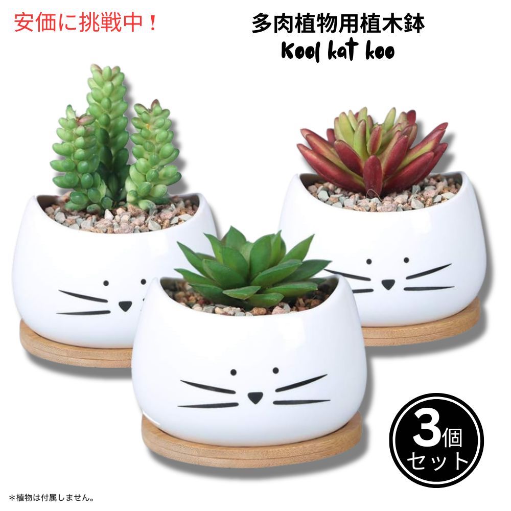 Koolkatkoo 3個セット かわいい猫デザイン 多肉植物用 セラミック鉢 8cm 受け皿付き ホワイト（鉢のみ） Cute Cat Succulent Pots 3.2inches White 3Sets 1