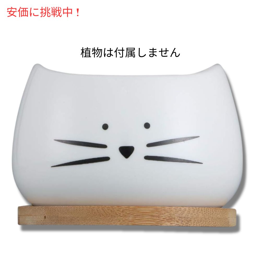 Koolkatkoo 3個セット かわいい猫デザイン 多肉植物用 セラミック鉢 8cm 受け皿付き ホワイト（鉢のみ） Cute Cat Succulent Pots 3.2inches White 3Sets 2