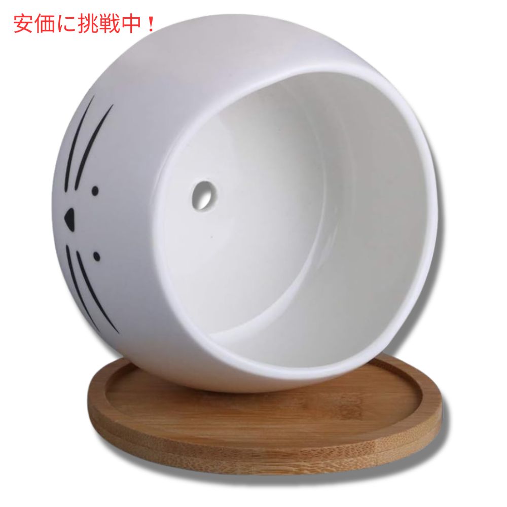 Koolkatkoo 3個セット かわいい猫デザイン 多肉植物用 セラミック鉢 8cm 受け皿付き ホワイト（鉢のみ） Cute Cat Succulent Pots 3.2inches White 3Sets 3