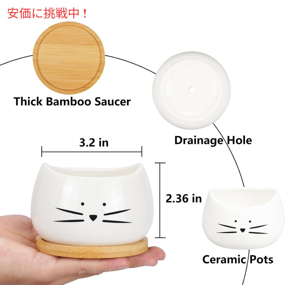 Koolkatkoo 3個セット かわいい猫デザイン 多肉植物用 セラミック鉢 8cm 受け皿付き ホワイト（鉢のみ） Cute Cat Succulent Pots 3.2inches White 3Sets 4