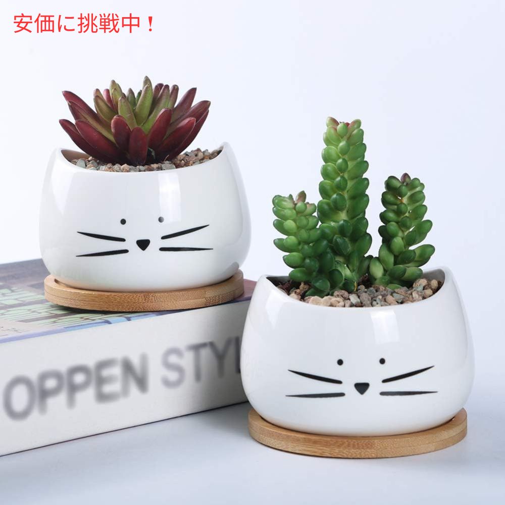 Koolkatkoo 3個セット かわいい猫デザイン 多肉植物用 セラミック鉢 8cm 受け皿付き ホワイト（鉢のみ） Cute Cat Succulent Pots 3.2inches White 3Sets 5