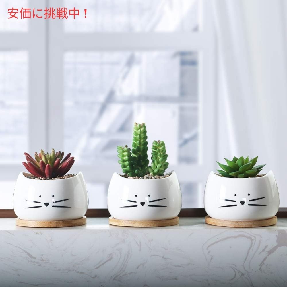 Koolkatkoo 3個セット かわいい猫デザイン 多肉植物用 セラミック鉢 8cm 受け皿付き ホワイト（鉢のみ） Cute Cat Succulent Pots 3.2inches White 3Sets 6