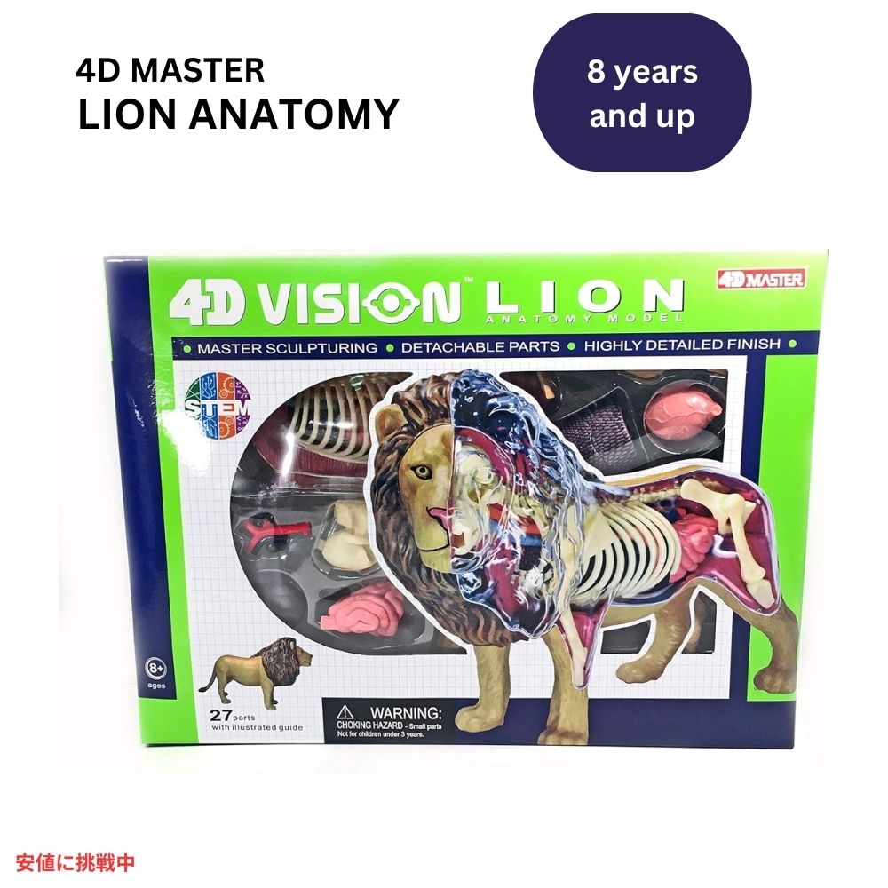 4Dビジョン ライオン解剖モデル 4D Vision Lion Anatomy Model 1