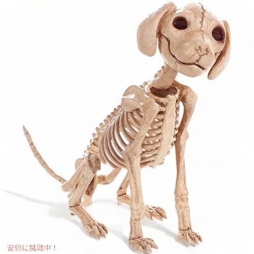 LKXHarleya ハロウィン スケルトン子犬 ミニプードル犬 スケルトン 犬の骨 1