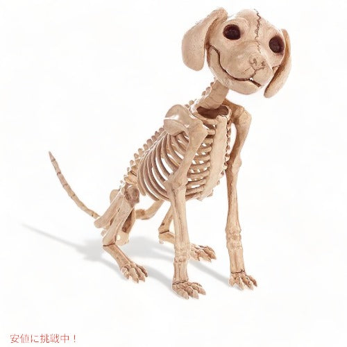 LKXHarleya ハロウィン スケルトン子犬 ミニプードル犬 スケルトン 犬の骨 2