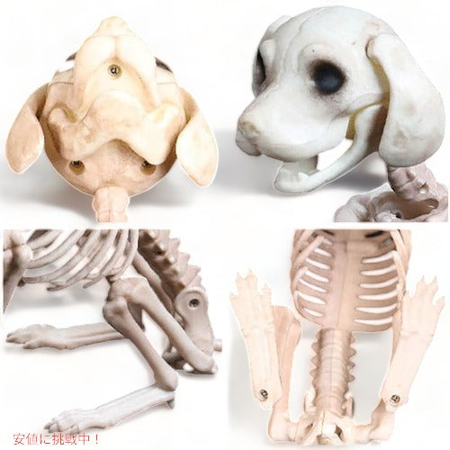 LKXHarleya ハロウィン スケルトン子犬 ミニプードル犬 スケルトン 犬の骨 3