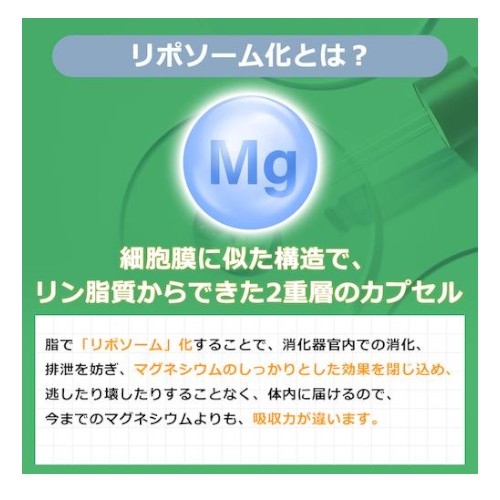 【3本セット】高濃度 54日分 リポソーム マグネシウム 200mg 高吸収 180ml x 3本 液体 Dr. Plus ドクタープラス サプリメント Made in USA 54days Liposomal Magnesium 200mg Liquid 6 fl oz 5