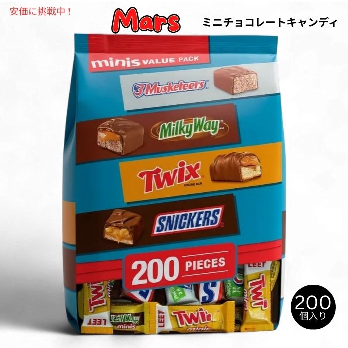 トレーダージョーズ 折りたたみエコバッグ スタンドアップ式 ヤシの木デザイン Trader Joe's Stand-Up Collapsible Grocery Tote Palm Trees 1