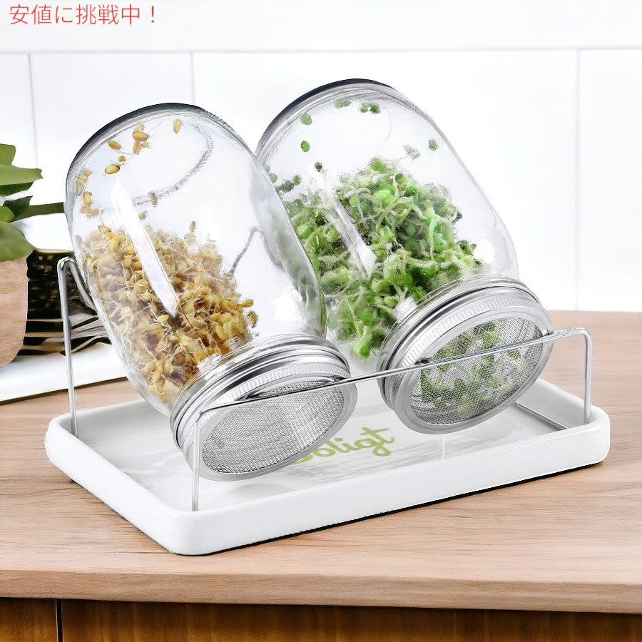 メイソンジャー発芽キット SOLIGT Complete Mason Jar Sprouting Kit  広口クォート発芽ジャー （種は含まれていません） 2
