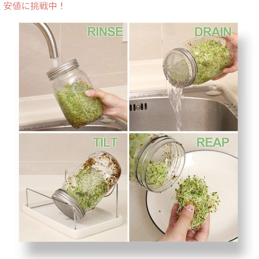 メイソンジャー発芽キット SOLIGT Complete Mason Jar Sprouting Kit  広口クォート発芽ジャー （種は含まれていません） 6