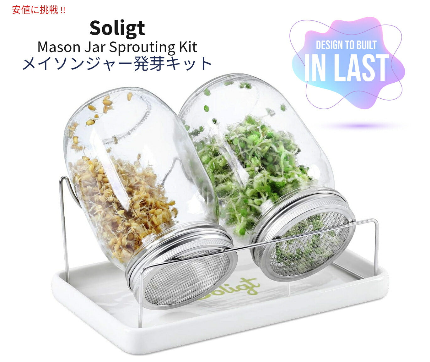 メイソンジャー発芽キット SOLIGT Complete Mason Jar Sprouting Kit  広口クォート発芽ジャー （種は含まれていません） 1