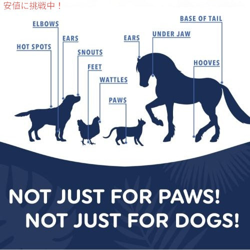 Mushers Secret Dog Paw Wax (16 Oz): All Season Pet Paw Protection Against Heat, Hot Pavement, Sand, Dirt, Snow - Great for Dogs on Trails and Walks! 4