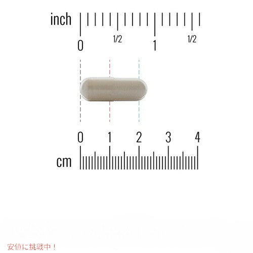 Dr. Mercola Magnesium L-Threonate / L-トレオン酸 マグネシウム 90粒 2