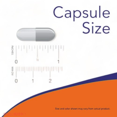 【3個セット】NOW Foods(ナウフーズ) L-トリプトファン 500mg 120カプセル #0167 L-Tryptophan 6