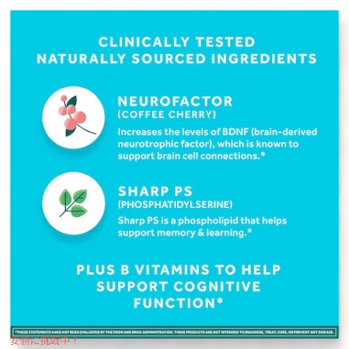 Neuriva Brain Support Supplement Plus 30 Capsules / ニューリバ ブレイン サポート サプリメント プラス 30カプセル 3