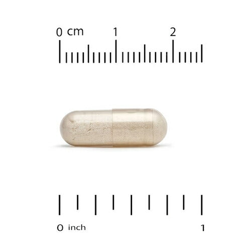 California Gold Nutrition LactoBif プロバイオティクス 300億個 植物性カプセル 60錠 カリフォルニアゴールドニュートリション 3