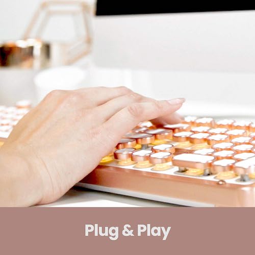Azio アジーオ パソコン用 メカニカルキーボード レトロクラシックUSB（ポッシュ） パソコン・タブレット用 MK-RETRO-L-02-US 5