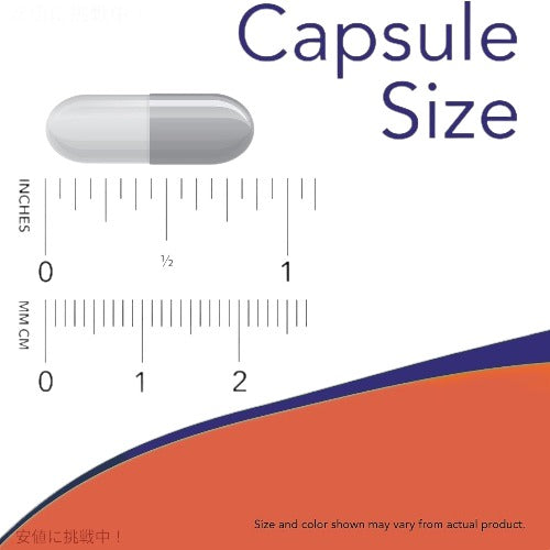 ナウフーズ PABA （パラアミノ安息香酸） 500 mg 100粒 #0485 サプリメント Now Foods PABA 500mg 100Caps 4