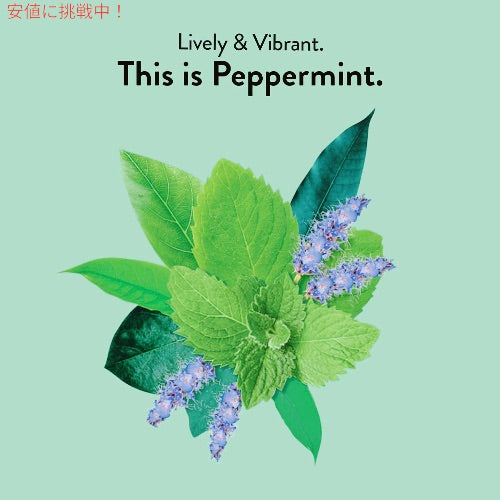 チョイスオーガニックス オーガニック ハーブティー ペパーミント 16袋 ティーバッグ カフェインレス Choice Organics Organic Peppermint Tea 2