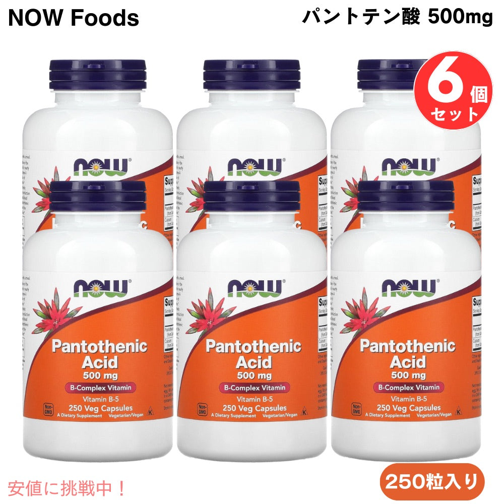 6個セット NOW Foods Pantothenic Acid 500 mg 250 Caps #0488 ナウフーズ パントテン酸（ビタミンB5） 500mg 250粒 1