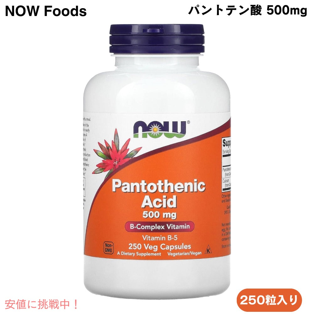 NOW Foods Pantothenic Acid 500 mg 250 Caps #0488 ナウフーズ パントテン酸（ビタミンB5） 500mg 250粒 1