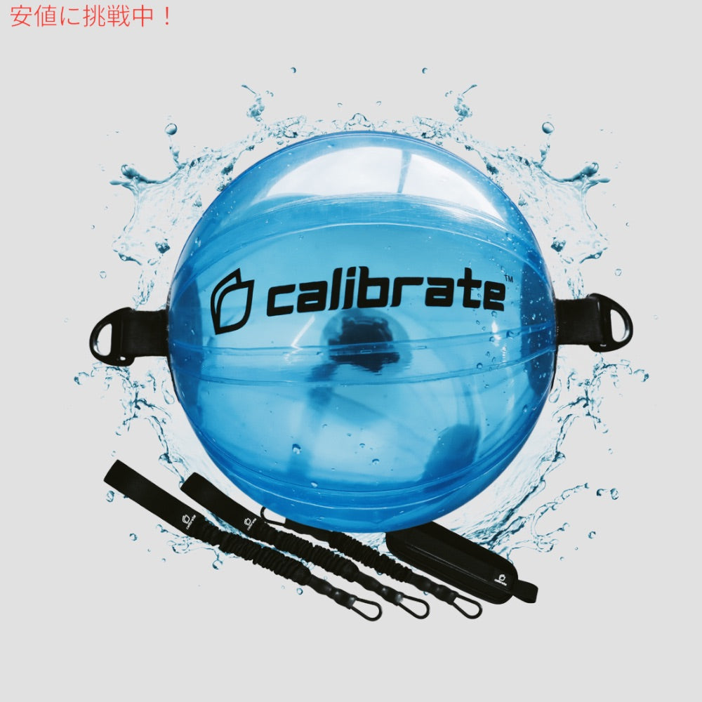 CALIBRATE SPORTS カオスボールスタビリティシステム CHAOS Ball Stability System トレーニング ジム 筋トレ 2