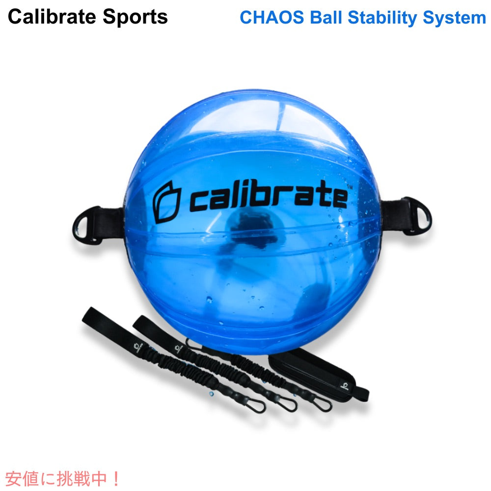 CALIBRATE SPORTS カオスボールスタビリティシステム CHAOS Ball Stability System トレーニング ジム 筋トレ 1