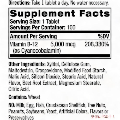 Natrol Vitamin B12 Tablets 5,000mcg, Strawberry, 100 Count / ナトロール ビタミンB12 タブレット 5,000mcg 100錠 ストロベリー味 2