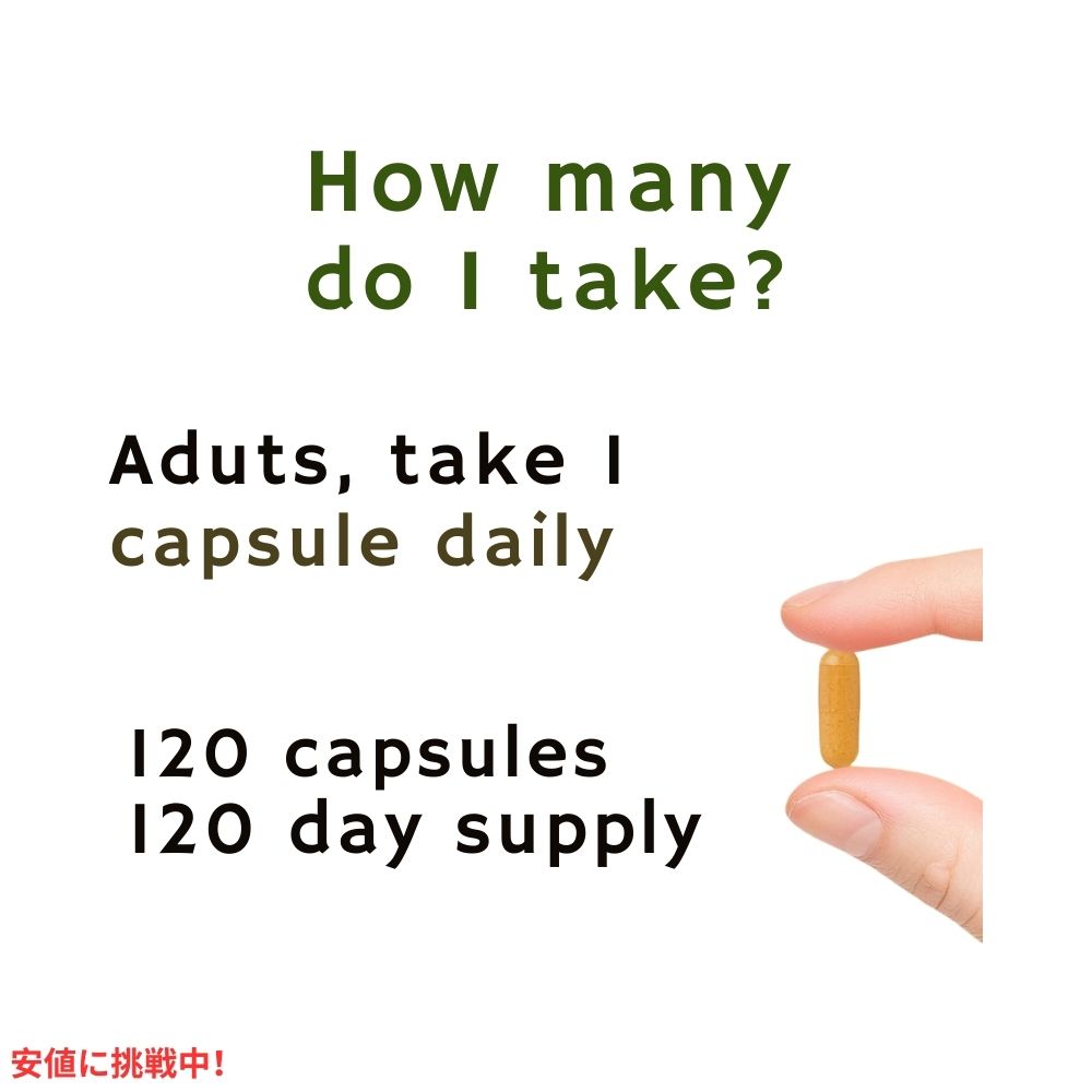 ネイチャーメイド ターメリック クルクミン 500mg 120カプセル Nature Made Turmeric Curcumin 500mg 120 Capsules 4