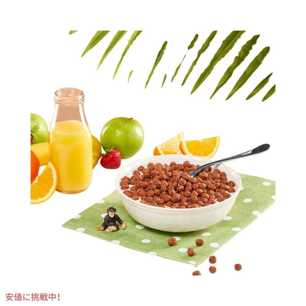 ネイチャーズパス チョコ チンプス 朝食シリアル 10オンス Nature's Path Choco Chimps Breakfast Cereal 10oz 7