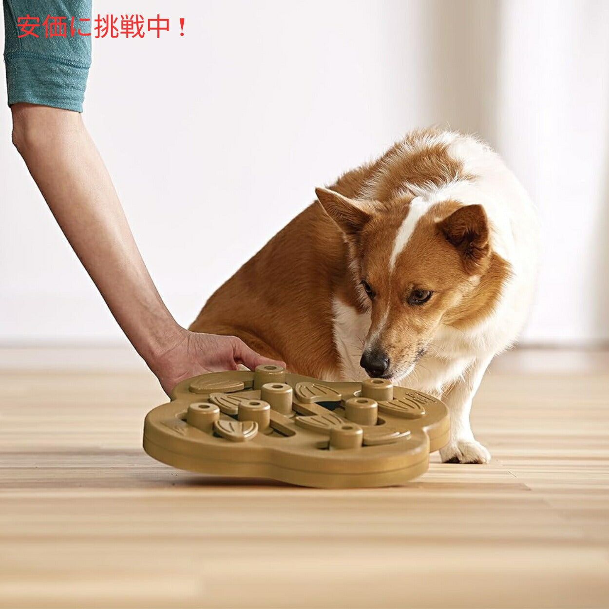 Outward Hound Nina Ottosson 犬 Hide N' Slide Tan インタラクティブ トリート パズル 犬のおもちゃ 7