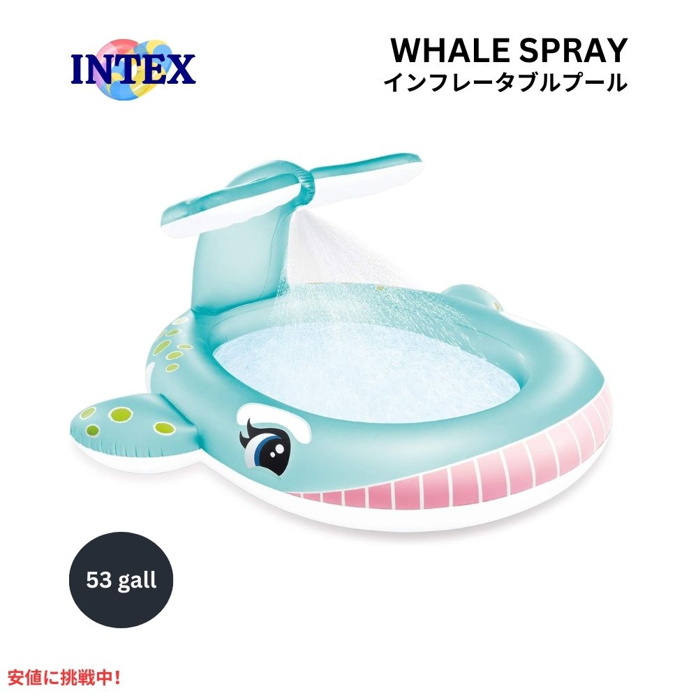 INTEX インテックス 子供用 インフレタブル プール くじら スプレー ブルー キッズプール Recreation Corp Pool Whale Spray Blue 1