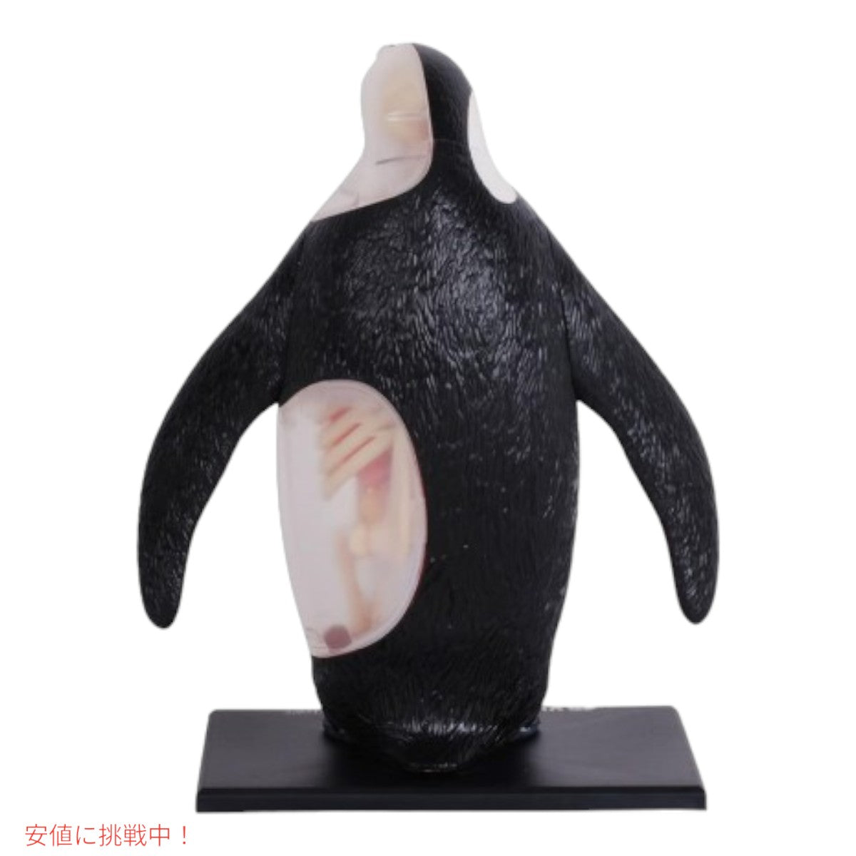 4Dビジョン 皇帝ペンギン解剖モデル 4D Vision Emperor Penguin Anatomy Model 7