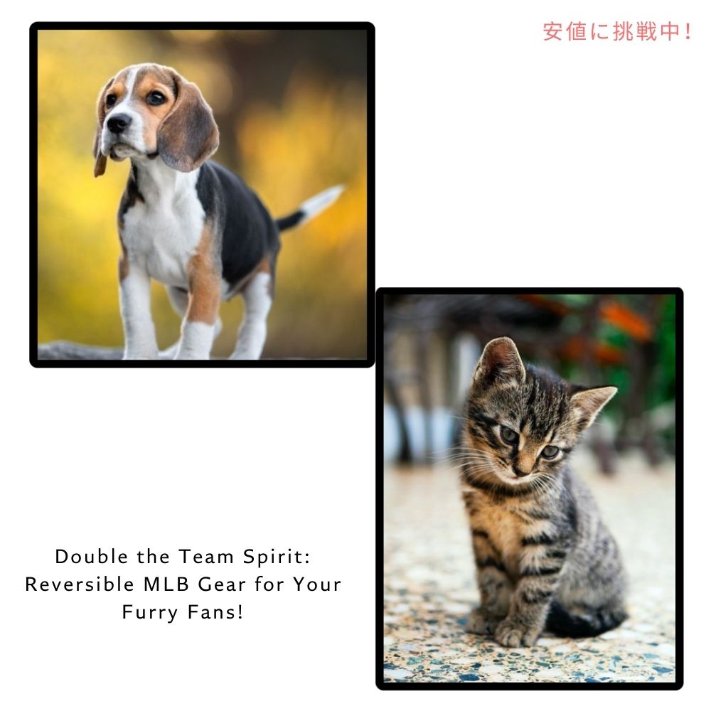Pets First  ペット 犬 猫 MLB シカゴカブス リバーシブル Tシャツ ラージサイズ 公式ライセンス MLB Chicago Cubs Reversible T-Shirt, Large 4