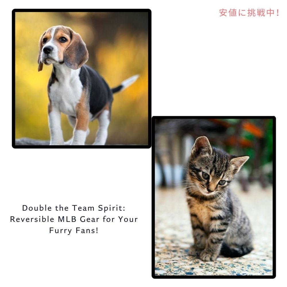 Pets First  ペット 犬 猫 MLB シカゴカブス リバーシブル Tシャツ スモールサイズ 公式ライセンス MLB Chicago Cubs Reversible T-Shirt, Small Size 4