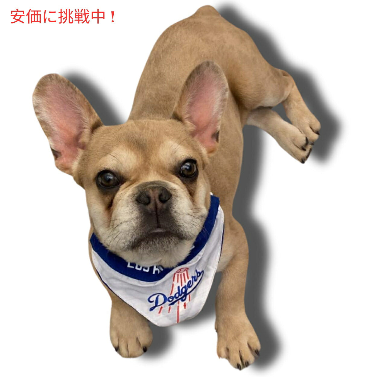 Pets First ペッツファースト ロサンゼルスドジャース リバーシブル ペットバンダナ サイズ S/M Los Angeles Dodgers Reversible Pet Bandana Small/Medium 7