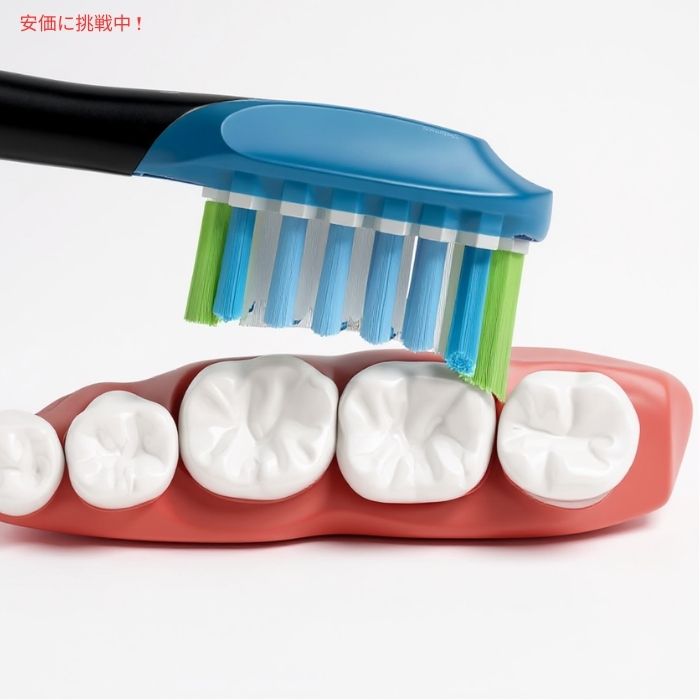 Philips フィリップス ソニッケア 2イン1 電動歯ブラシ用 交換ブラシヘッド [やわらかめ・ブラック] 8本入り Sonicare 2-in-1 Replacement Toothbrush Heads 2