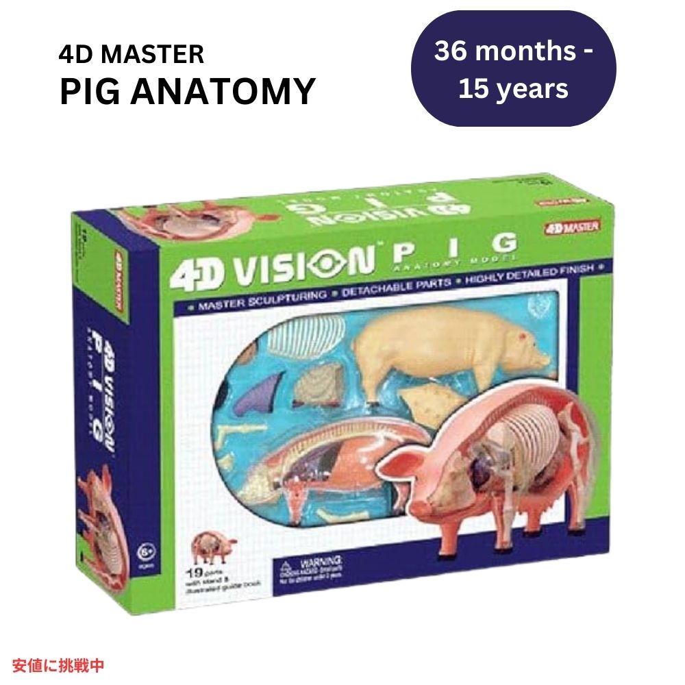 TEDCO 4Dビジョン ブタ解剖模型 TEDCO 4D Vision Pig Anatomy Model 1