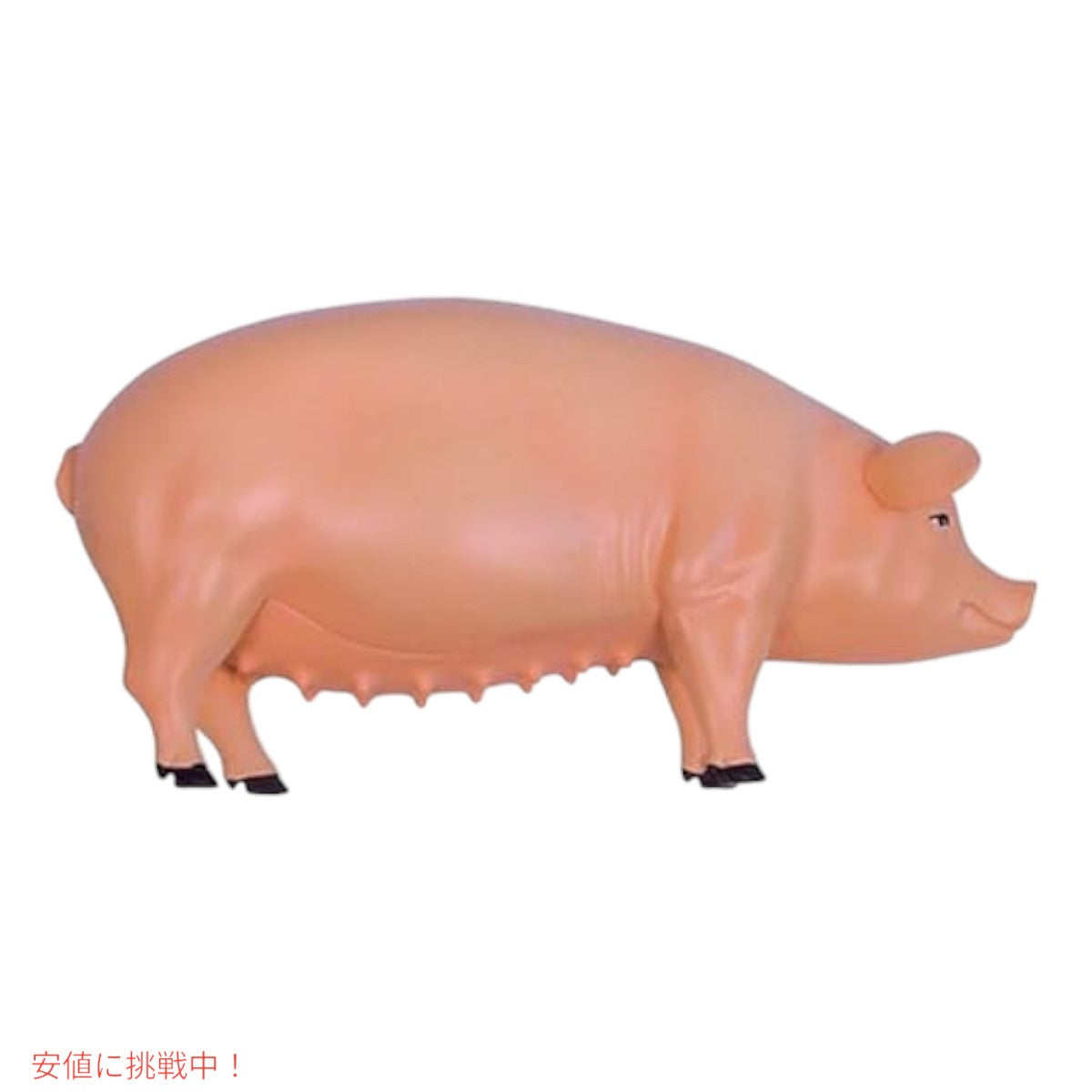 TEDCO 4Dビジョン ブタ解剖模型 TEDCO 4D Vision Pig Anatomy Model 2
